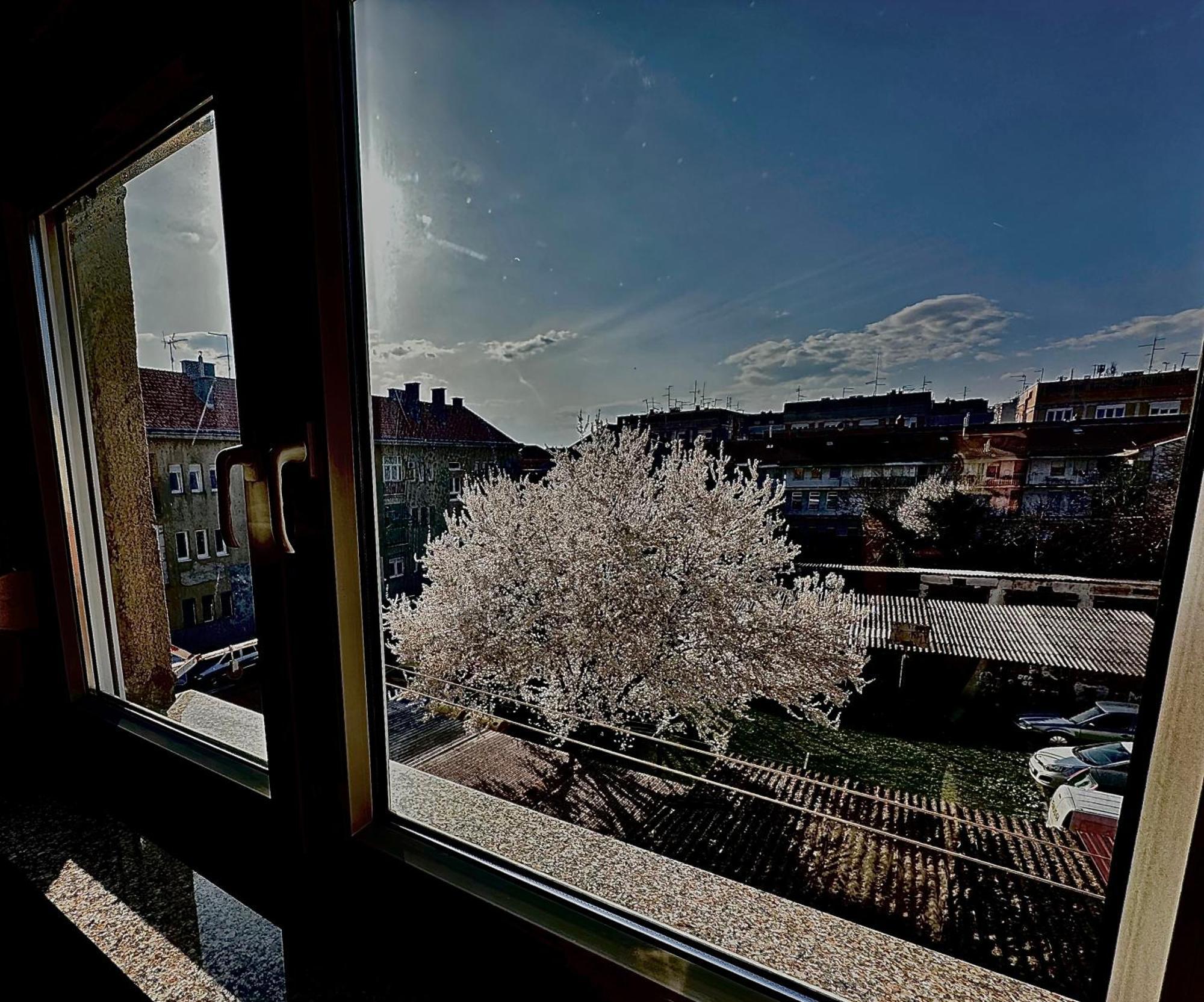 Apartman Pannonica Pin 0-24H Slavonski Brod Exterior photo